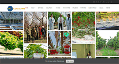 Desktop Screenshot of dkg-consulting.com